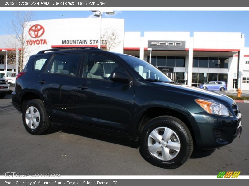 Black Forest Pearl / Ash Gray 2009 Toyota RAV4 4WD