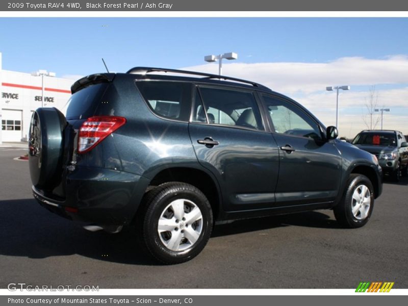 Black Forest Pearl / Ash Gray 2009 Toyota RAV4 4WD