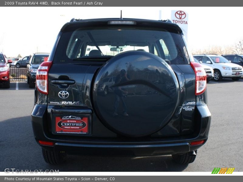 Black Forest Pearl / Ash Gray 2009 Toyota RAV4 4WD