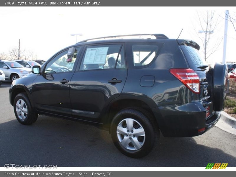 Black Forest Pearl / Ash Gray 2009 Toyota RAV4 4WD