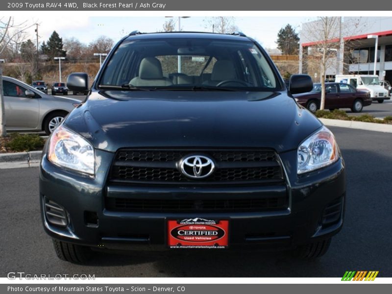 Black Forest Pearl / Ash Gray 2009 Toyota RAV4 4WD