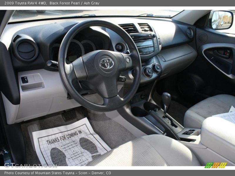Black Forest Pearl / Ash Gray 2009 Toyota RAV4 4WD