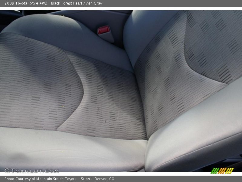 Black Forest Pearl / Ash Gray 2009 Toyota RAV4 4WD