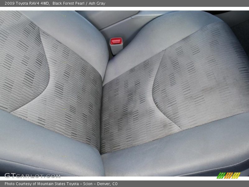 Black Forest Pearl / Ash Gray 2009 Toyota RAV4 4WD