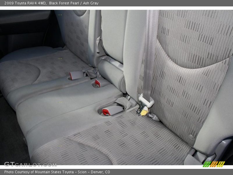 Black Forest Pearl / Ash Gray 2009 Toyota RAV4 4WD