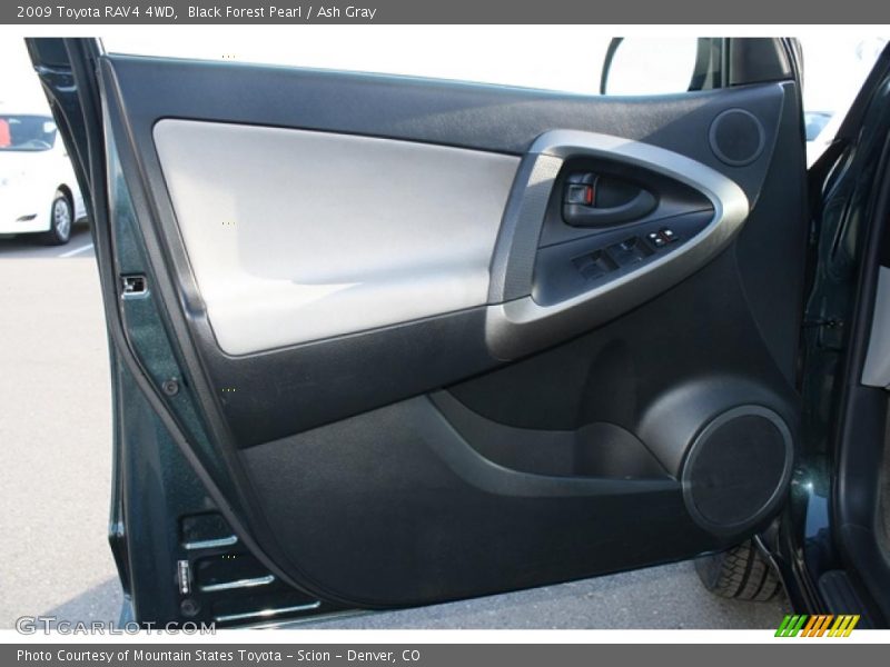 Black Forest Pearl / Ash Gray 2009 Toyota RAV4 4WD