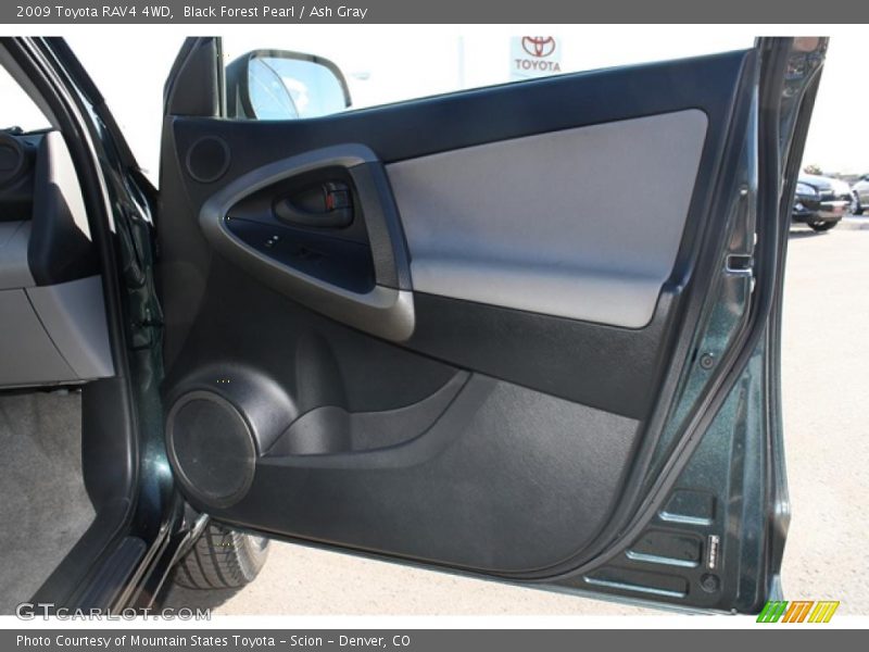 Black Forest Pearl / Ash Gray 2009 Toyota RAV4 4WD