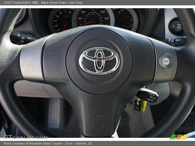Black Forest Pearl / Ash Gray 2009 Toyota RAV4 4WD