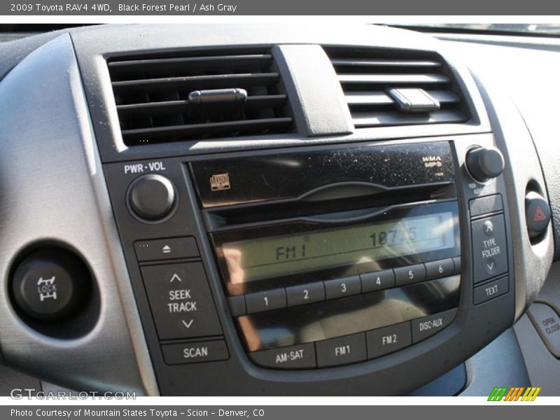 Black Forest Pearl / Ash Gray 2009 Toyota RAV4 4WD
