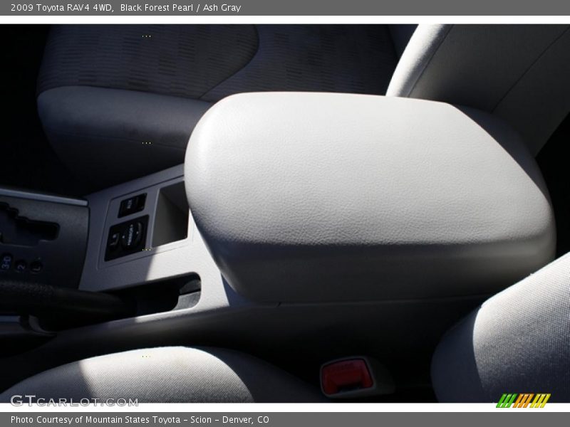 Black Forest Pearl / Ash Gray 2009 Toyota RAV4 4WD