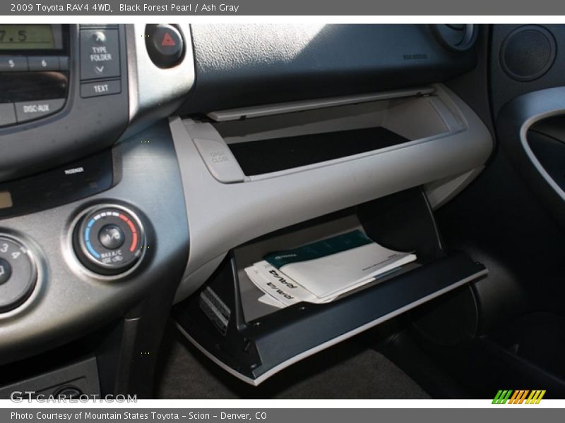 Black Forest Pearl / Ash Gray 2009 Toyota RAV4 4WD