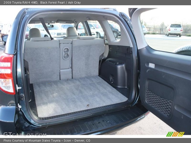 Black Forest Pearl / Ash Gray 2009 Toyota RAV4 4WD