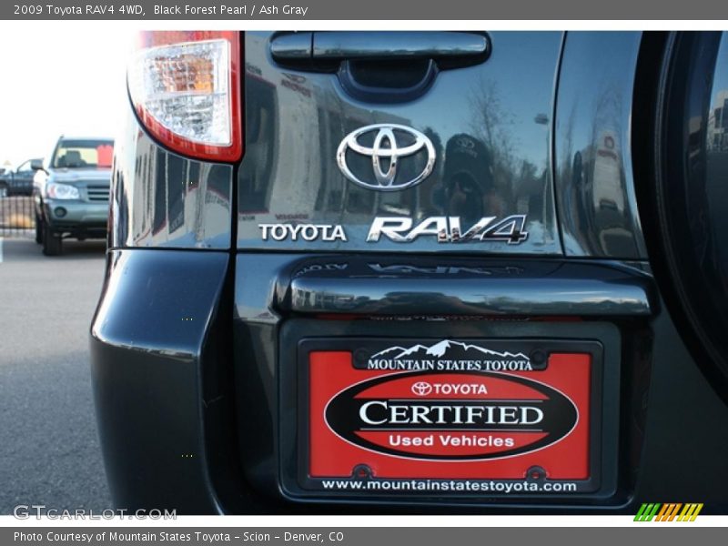 Black Forest Pearl / Ash Gray 2009 Toyota RAV4 4WD