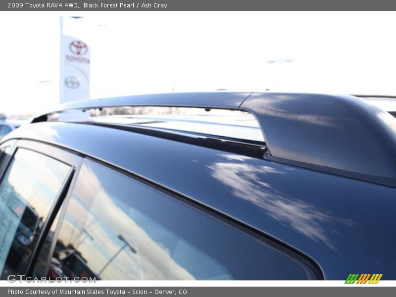 Black Forest Pearl / Ash Gray 2009 Toyota RAV4 4WD