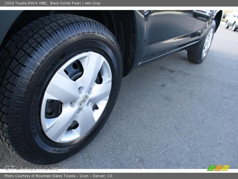 Black Forest Pearl / Ash Gray 2009 Toyota RAV4 4WD