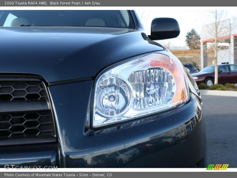 Black Forest Pearl / Ash Gray 2009 Toyota RAV4 4WD