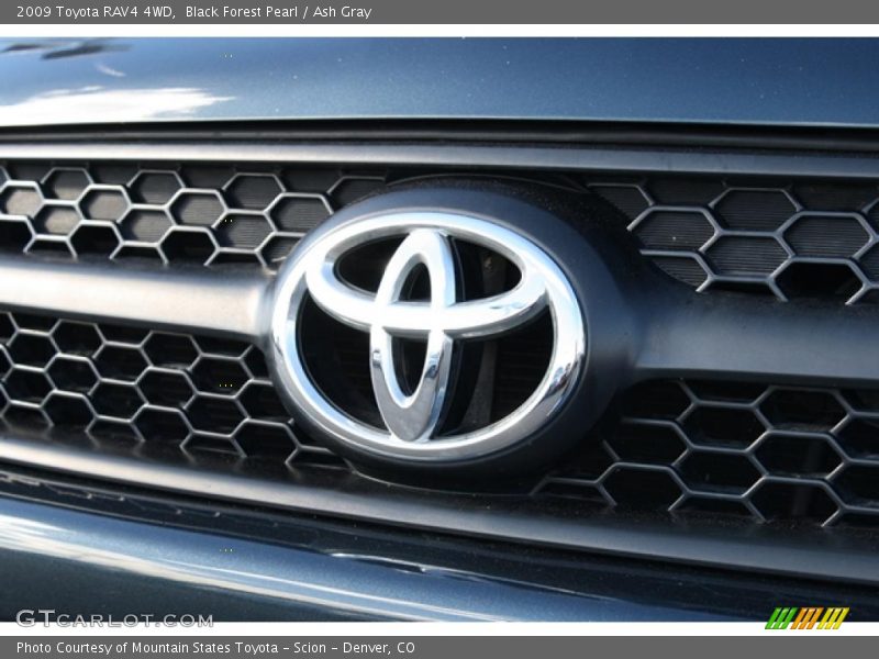 Black Forest Pearl / Ash Gray 2009 Toyota RAV4 4WD