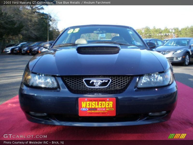 True Blue Metallic / Medium Parchment 2003 Ford Mustang GT Convertible