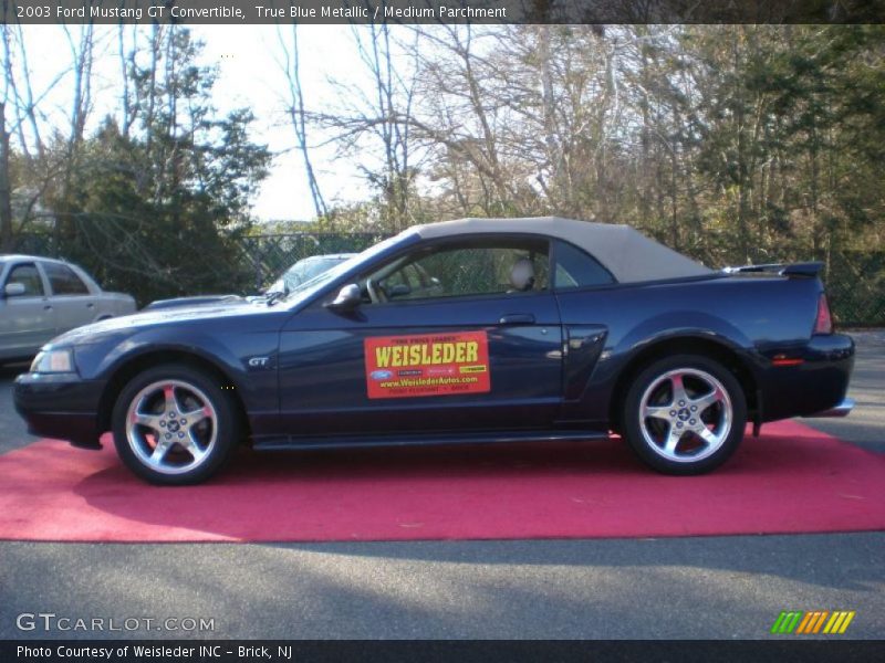 True Blue Metallic / Medium Parchment 2003 Ford Mustang GT Convertible