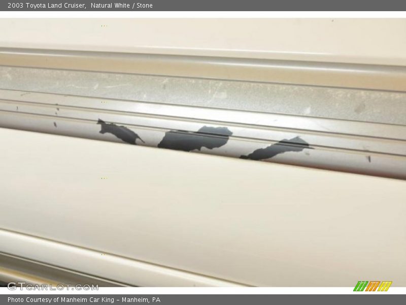 Natural White / Stone 2003 Toyota Land Cruiser