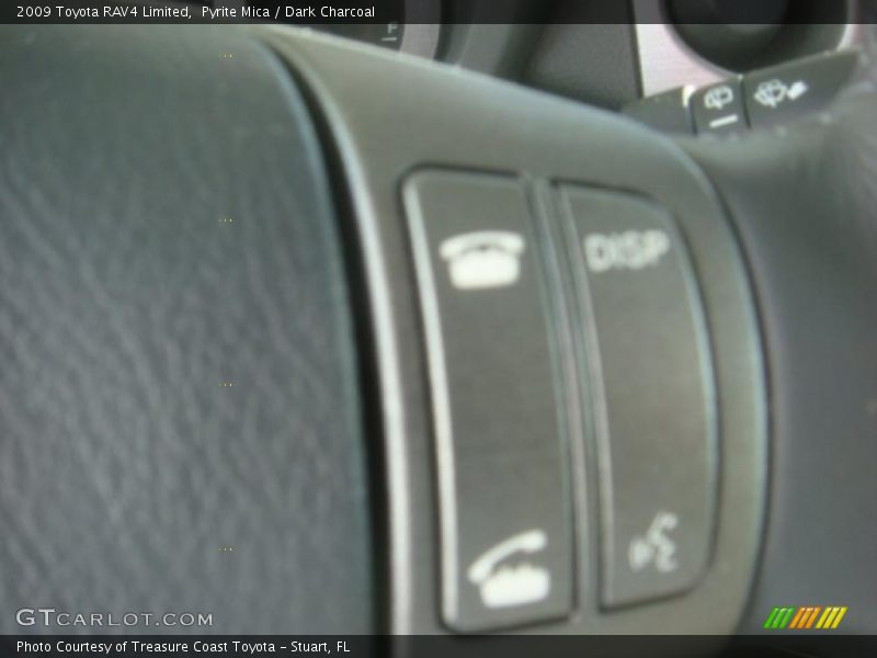 Pyrite Mica / Dark Charcoal 2009 Toyota RAV4 Limited