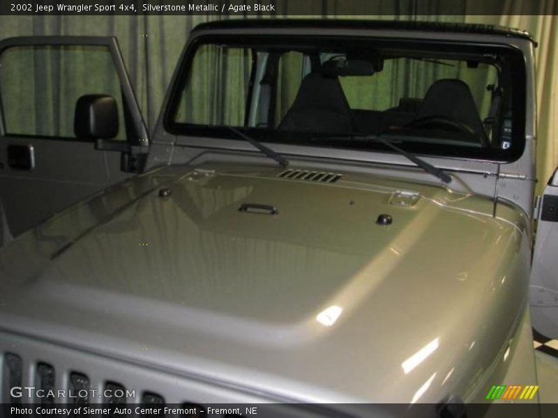 Silverstone Metallic / Agate Black 2002 Jeep Wrangler Sport 4x4