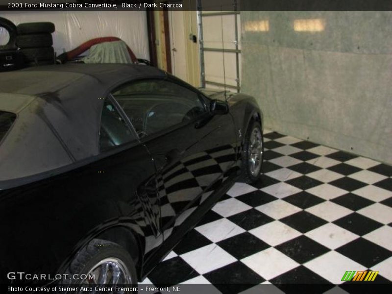 Black / Dark Charcoal 2001 Ford Mustang Cobra Convertible