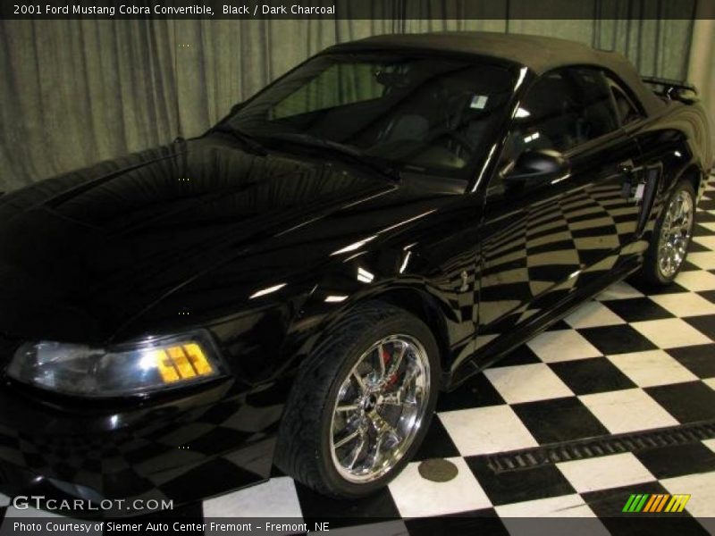 Black / Dark Charcoal 2001 Ford Mustang Cobra Convertible