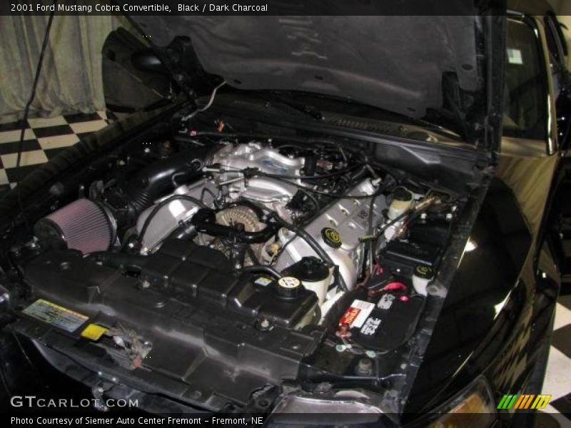 Black / Dark Charcoal 2001 Ford Mustang Cobra Convertible