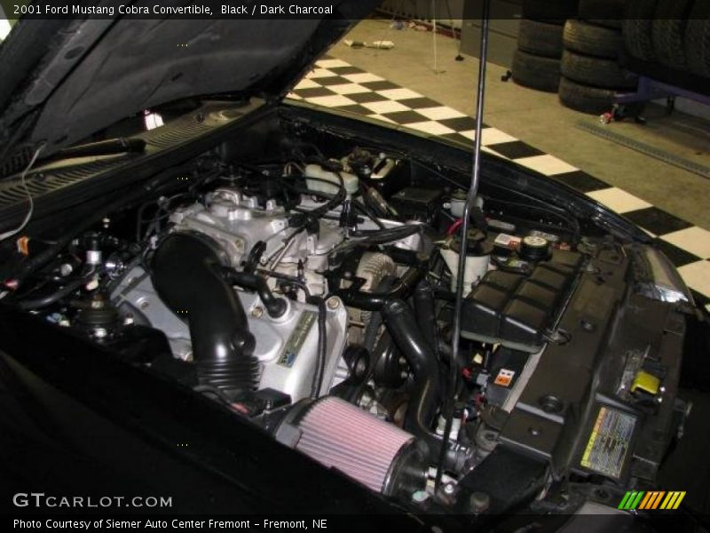 Black / Dark Charcoal 2001 Ford Mustang Cobra Convertible