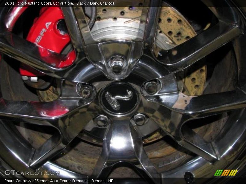 Black / Dark Charcoal 2001 Ford Mustang Cobra Convertible