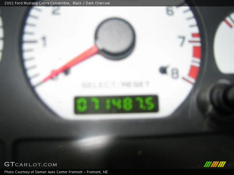 Black / Dark Charcoal 2001 Ford Mustang Cobra Convertible