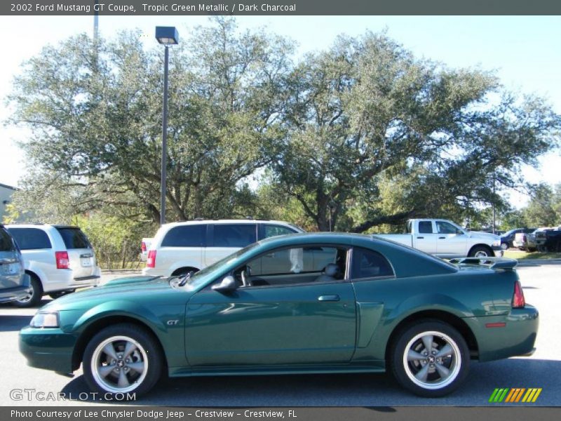 Tropic Green Metallic / Dark Charcoal 2002 Ford Mustang GT Coupe
