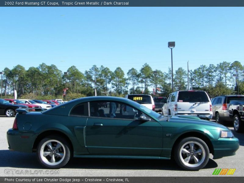 Tropic Green Metallic / Dark Charcoal 2002 Ford Mustang GT Coupe