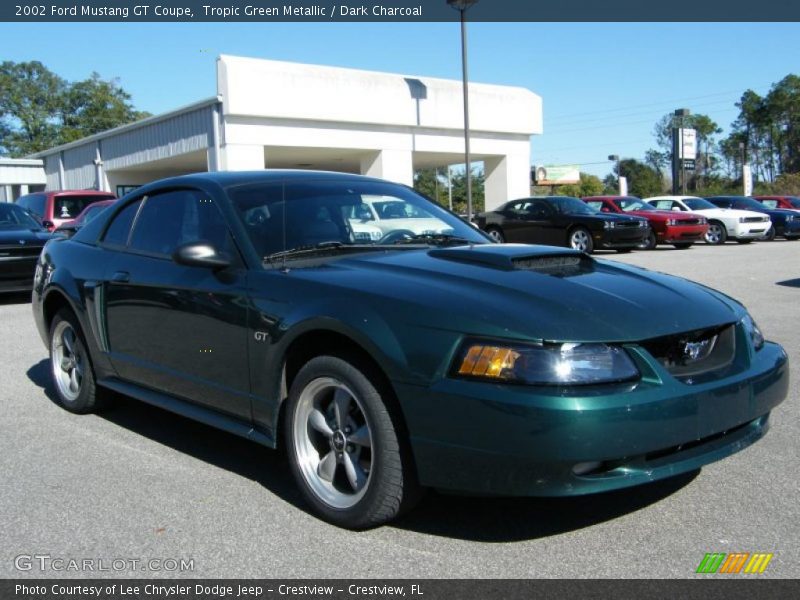 Tropic Green Metallic / Dark Charcoal 2002 Ford Mustang GT Coupe