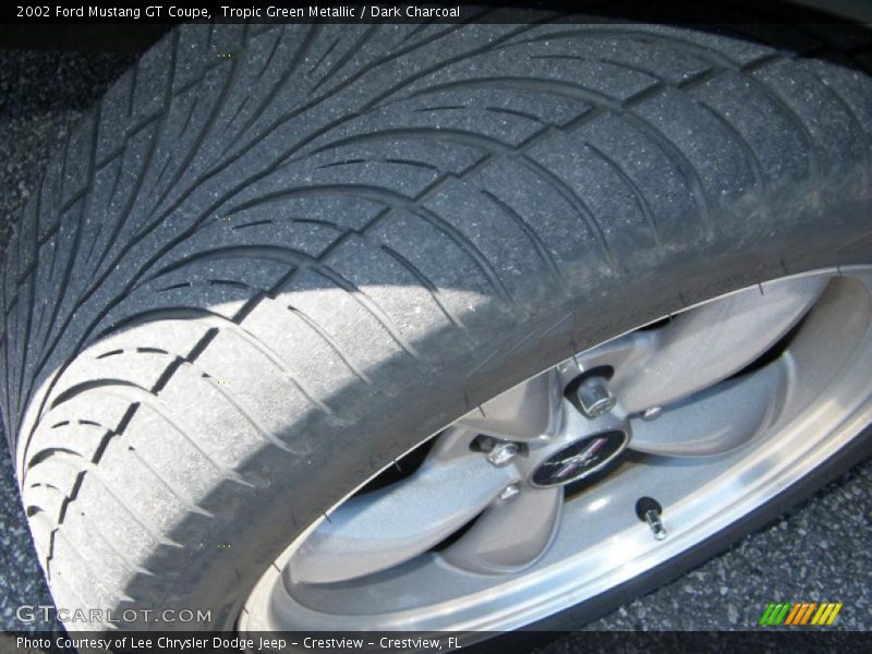 Tropic Green Metallic / Dark Charcoal 2002 Ford Mustang GT Coupe
