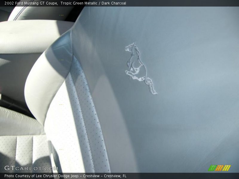 Tropic Green Metallic / Dark Charcoal 2002 Ford Mustang GT Coupe