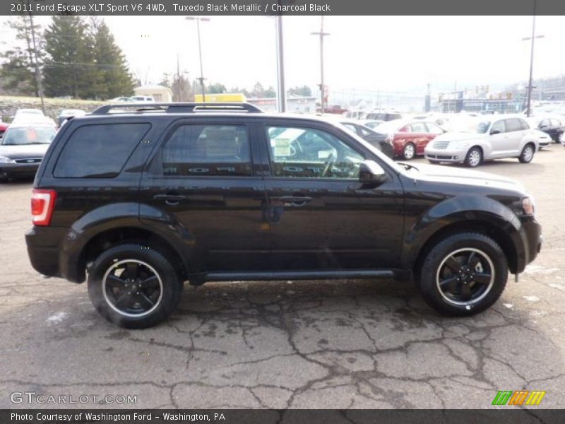 Tuxedo Black Metallic / Charcoal Black 2011 Ford Escape XLT Sport V6 4WD