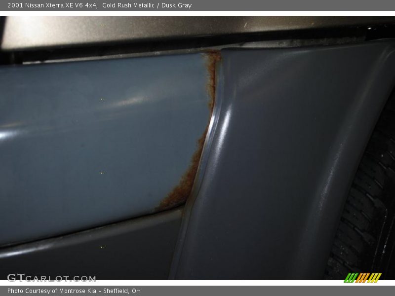 Gold Rush Metallic / Dusk Gray 2001 Nissan Xterra XE V6 4x4