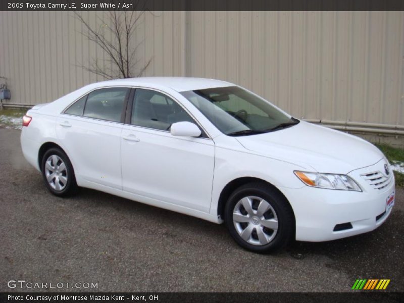 Super White / Ash 2009 Toyota Camry LE