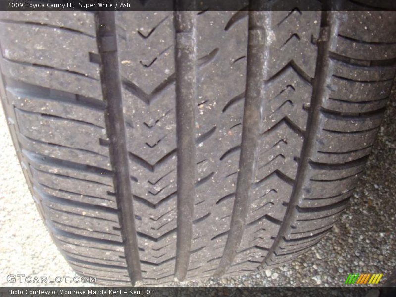 Super White / Ash 2009 Toyota Camry LE