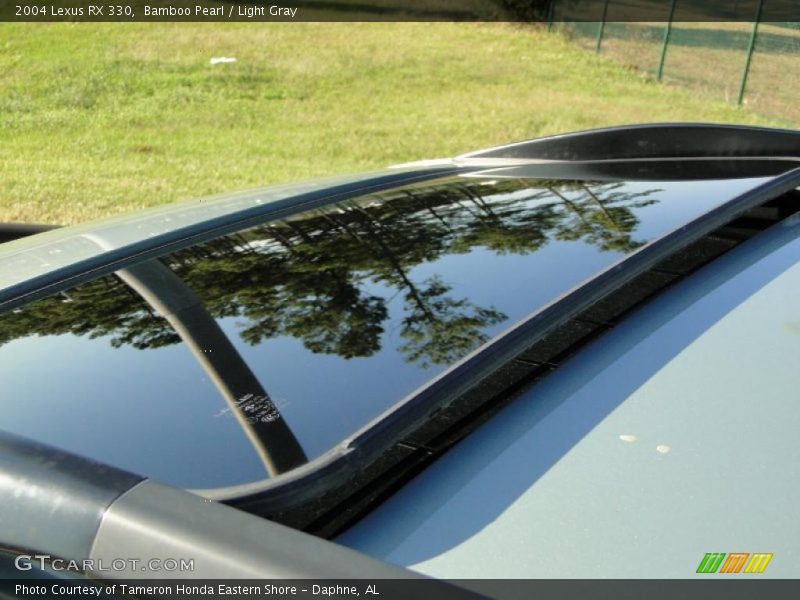 Bamboo Pearl / Light Gray 2004 Lexus RX 330