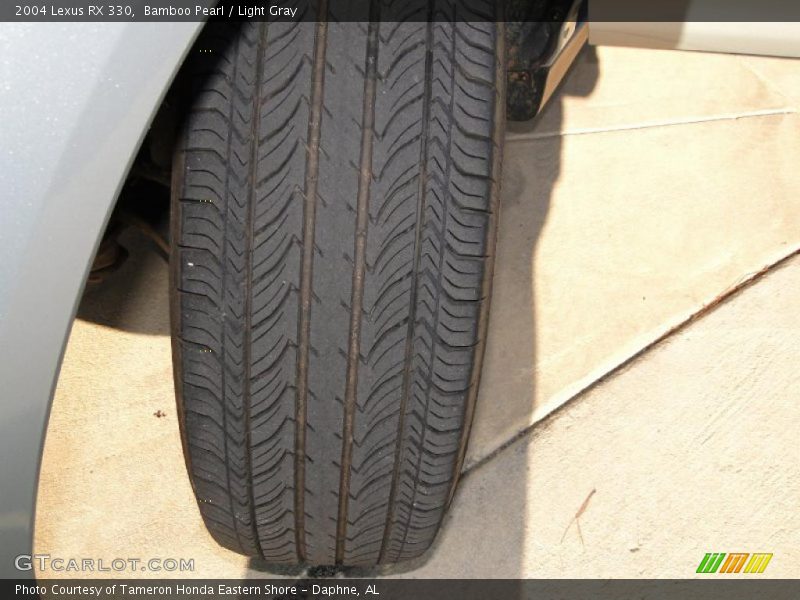 Bamboo Pearl / Light Gray 2004 Lexus RX 330