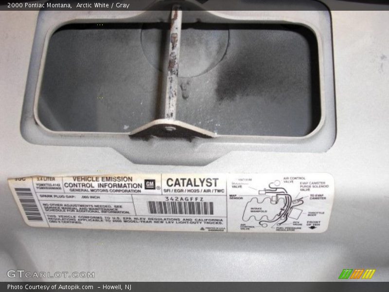 Arctic White / Gray 2000 Pontiac Montana