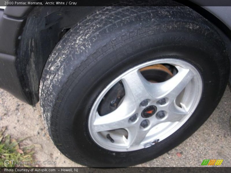 Arctic White / Gray 2000 Pontiac Montana