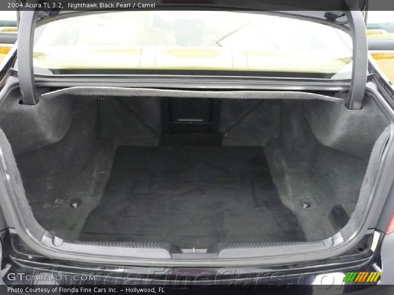 Nighthawk Black Pearl / Camel 2004 Acura TL 3.2
