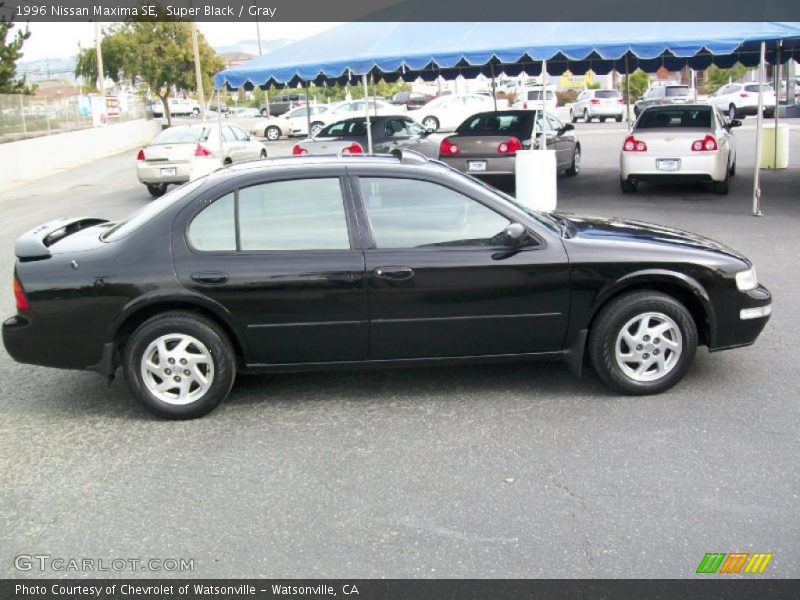 Super Black / Gray 1996 Nissan Maxima SE