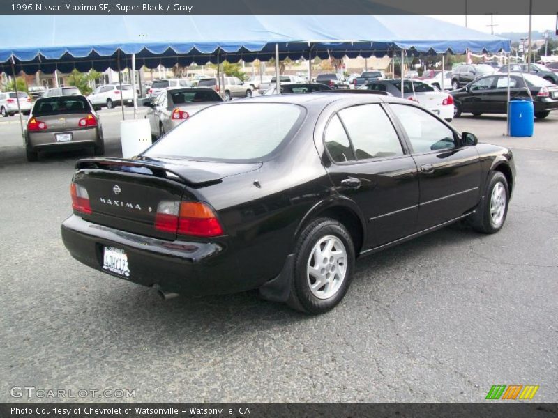 Super Black / Gray 1996 Nissan Maxima SE