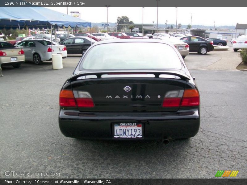 Super Black / Gray 1996 Nissan Maxima SE