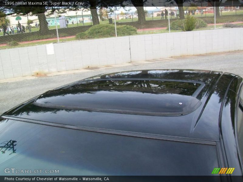 Super Black / Gray 1996 Nissan Maxima SE